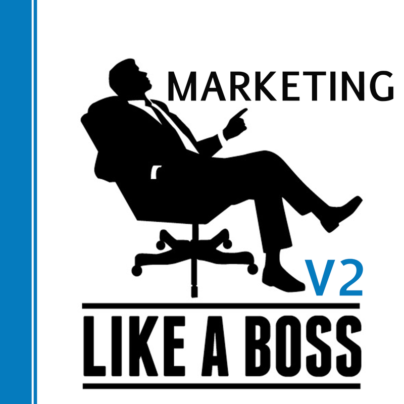 Pre-Order Ebook Marketing Like a Boss V2